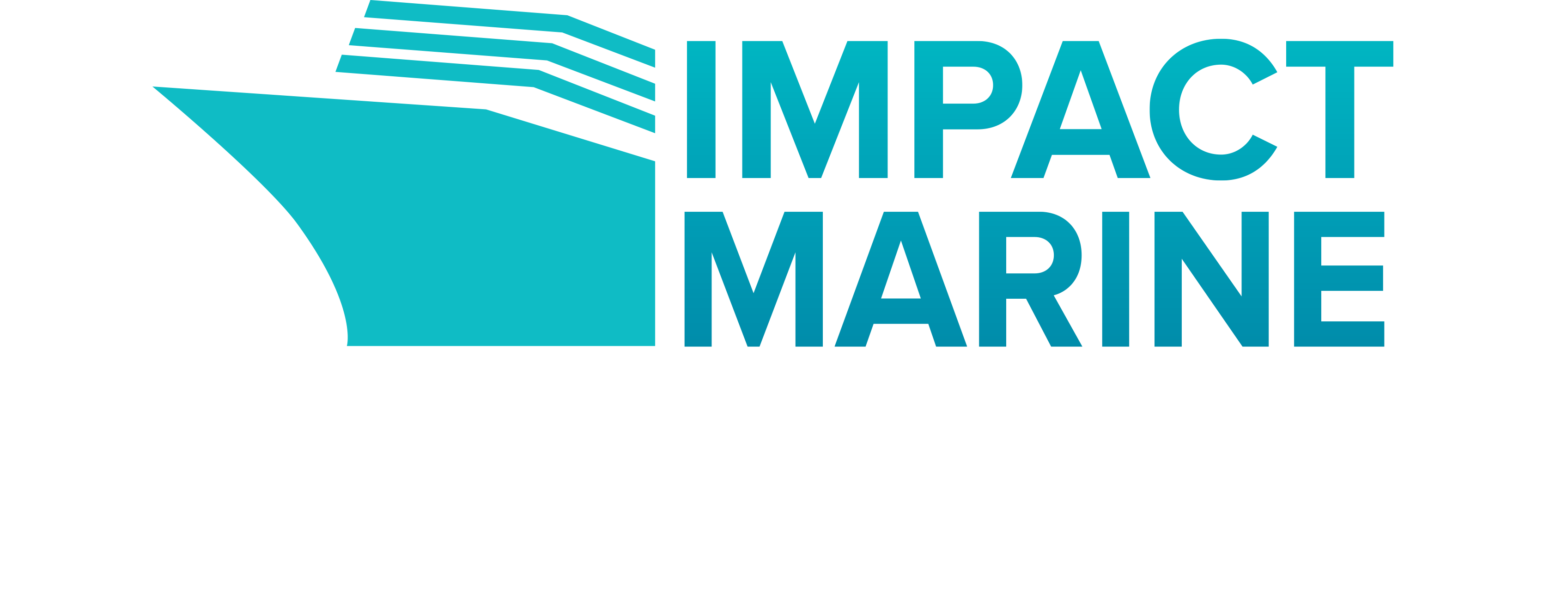 impact marine division logo